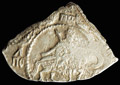 Полуполтина 1654 г.